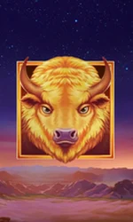 Buffalo's Sun 2