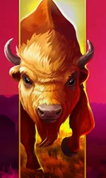 Big Wild Buffalo